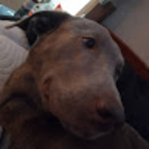 Meet your Posher, Trinity